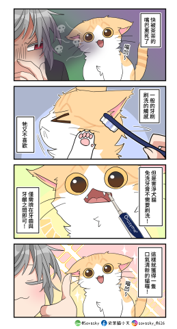 史萊貓小天 - 牙刷