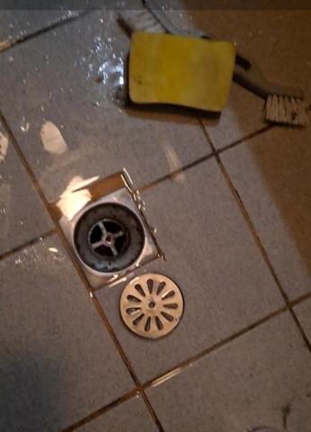 Shr-Rung  Lin 阿鎔 - 去除毛髮汚垢