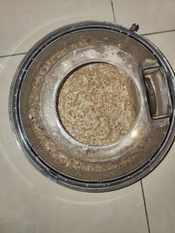 Shr-Rung  Lin 阿鎔 - 各種床墊深層清潔效果16