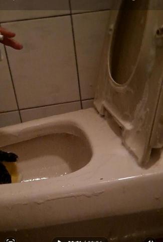 Shr-Rung  Lin 阿鎔 - 馬桶刷洗