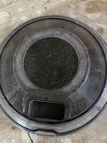 Shr-Rung  Lin 阿鎔 - 各種床墊深層清潔效果6-黴菌粉嚴重