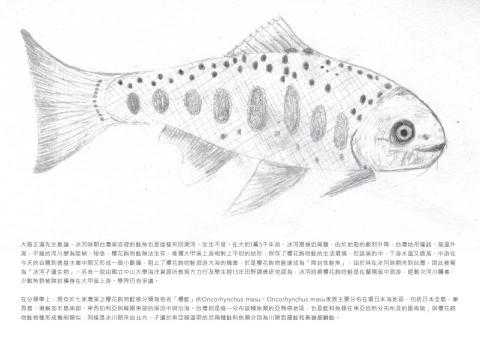 曾子瑜 - 臺特書籍設計