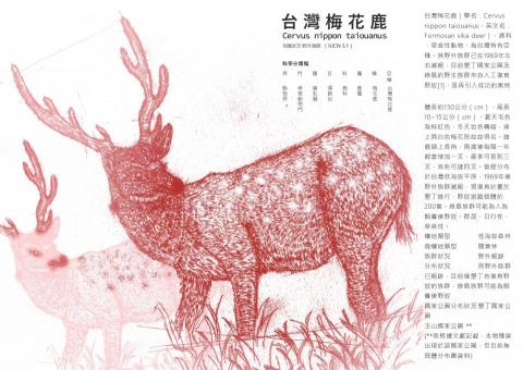 曾子瑜 - 臺特書籍設計