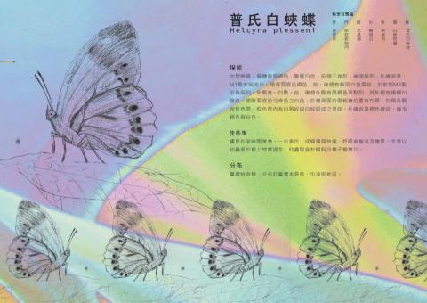 曾子瑜 - 臺特書籍設計