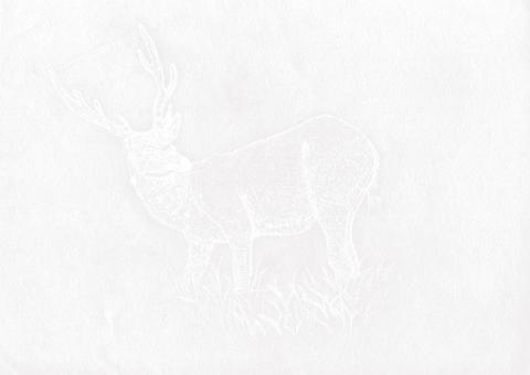 曾子瑜 - 臺特書籍設計