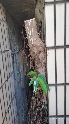 園藝相關業務 - 