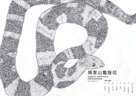 曾子瑜 - 臺特書籍設計