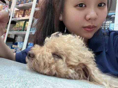 提供寵物用品批發服務的專家吳恩喬