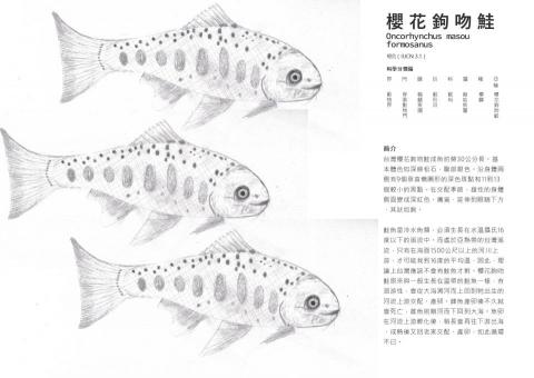 曾子瑜 - 臺特書籍設計