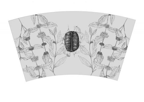 曾子瑜 - 咖啡杯包裝設計