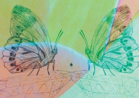 曾子瑜 - 臺特書籍設計