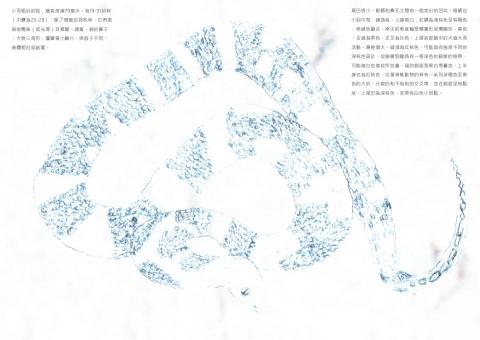 曾子瑜 - 臺特書籍設計