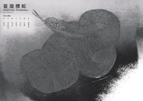 曾子瑜 - 臺特書籍設計