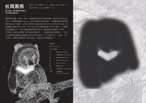 曾子瑜 - 臺特書籍設計