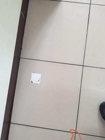 陳姿儀 - 清理後