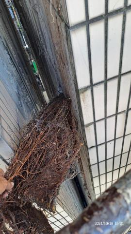 園藝相關業務 - 