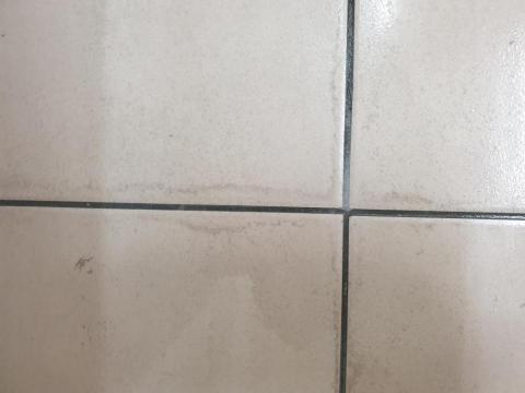 陳姿儀 - 獨自手工清理（清理前）