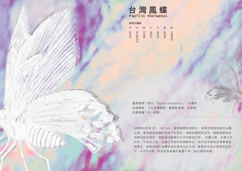 曾子瑜 - 臺特書籍設計