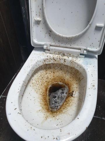 陳姿儀 - 快要開幕的半導體公司在山仔頂，（清理前）