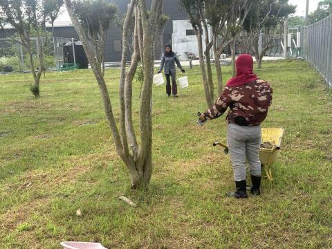 張益 - 植栽撿石清除