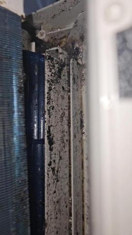 安家洗淨-小蔡 - 一般掛洗沒人在洗蒸發器壓住的後排水溝，因為客戶不了解冷氣構造