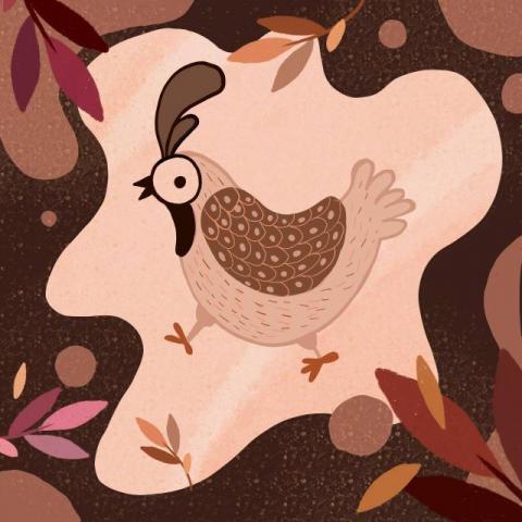 想想設計工作室 - 公雞早安 / 繪本作品