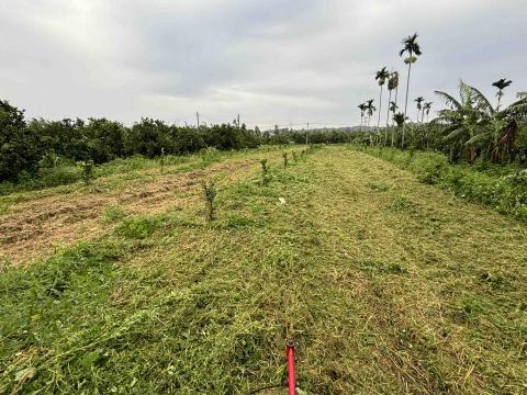 張益 - 果園除草