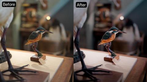 Lynn - 物品攝影及後置