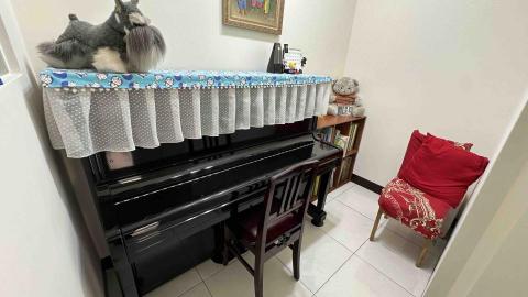 丁凱婕 - 鋼琴教室C