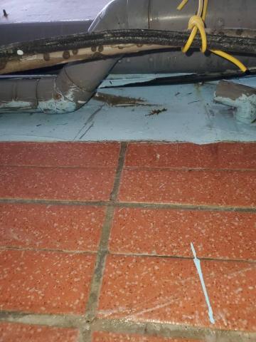 周昆興 - 水管斷裂修繕（前）