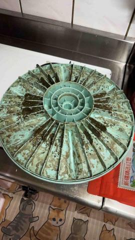 國維水電-樂潔小蔡 - 