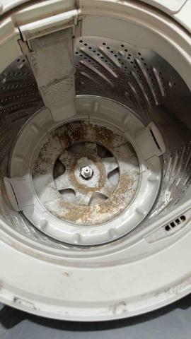 國維水電-樂潔小蔡 - 