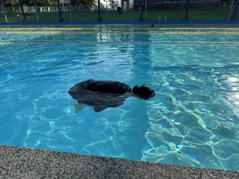 恩恩老師 - 自救的重要性