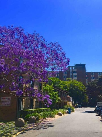 提供18h韓漫服務的專家Olivia Lee