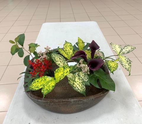 常臻花藝學堂 - 盤花⋯平舖基本型