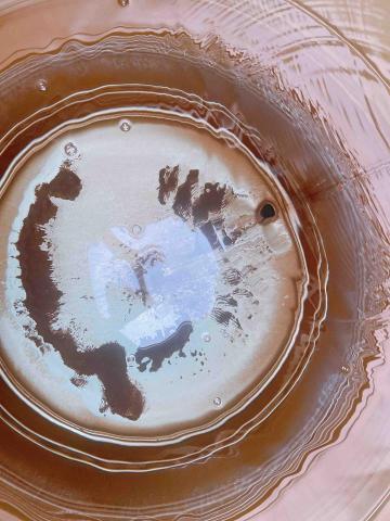 宏梧清潔實業社 - 