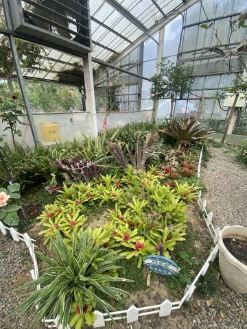 杰Jay - 觀光花園主題