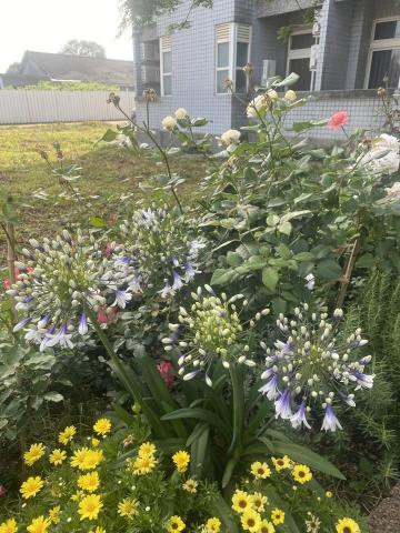 杰Jay - 員工宿舍前花園