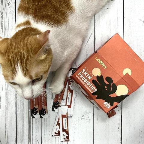 史萊貓小天 - 產品照