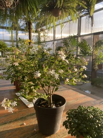 杰Jay - 空中花園公設