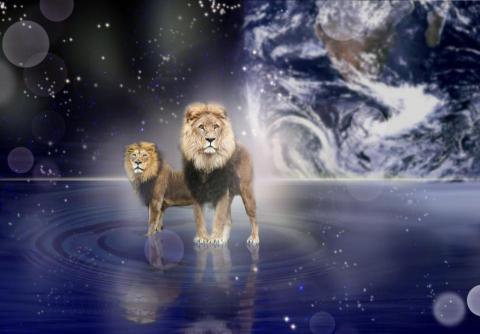 張芷瑗 - 修圖合成照