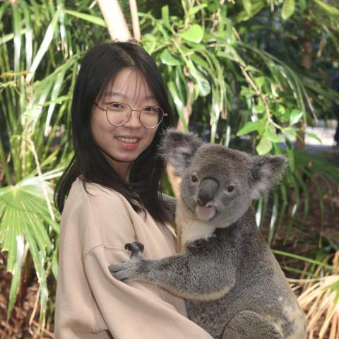 提供雅思服務的專家楊婧蓉