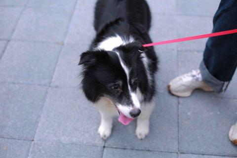 提供拍照箱服務的專家拍照ㄎㄨˋ