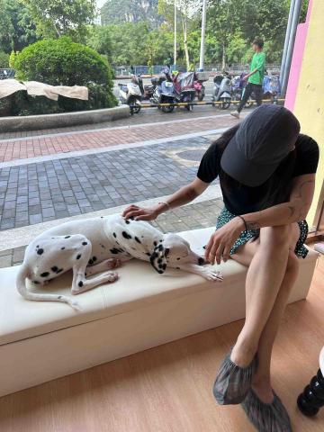 寵物保母 - 代班寵物遛噠，陪伴、玩耍