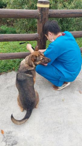 優狗 - 室外訓練