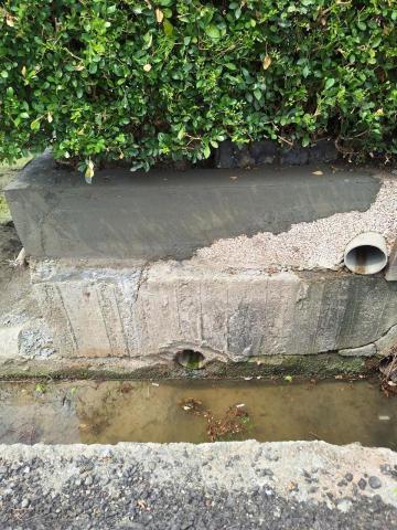 啟程泥作修繕工程 - 花圃粉光