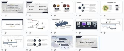 頁光/簡報設計 - 研究成果簡報