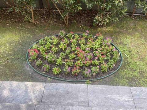 鑫源景觀園藝 - 顧客庭園