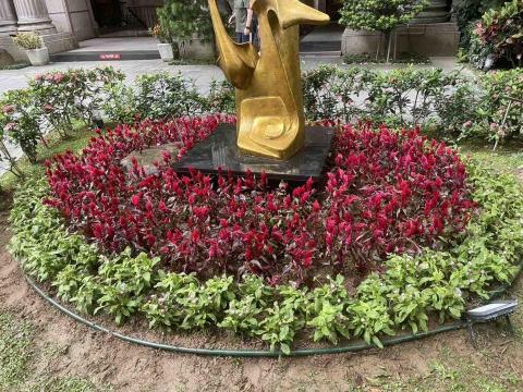 鑫源景觀園藝 - 雞冠花