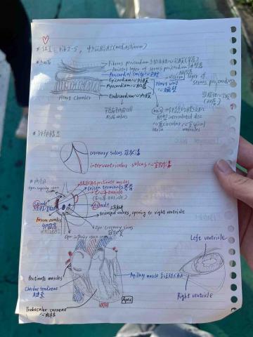 陳詩晴 - 我自己讀書的筆記！